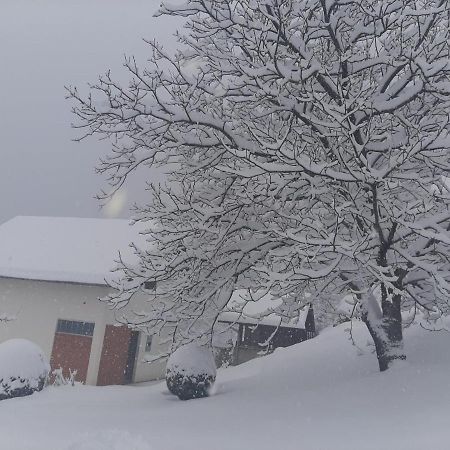 Planinska Kuca ,,Furtula" Jahorina Villa Pale Esterno foto