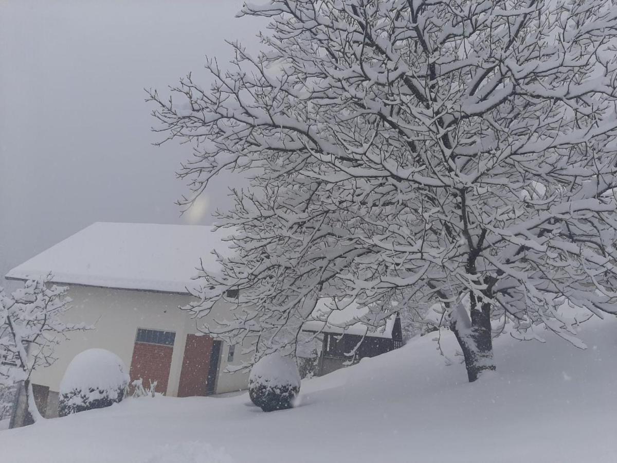 Planinska Kuca ,,Furtula" Jahorina Villa Pale Esterno foto