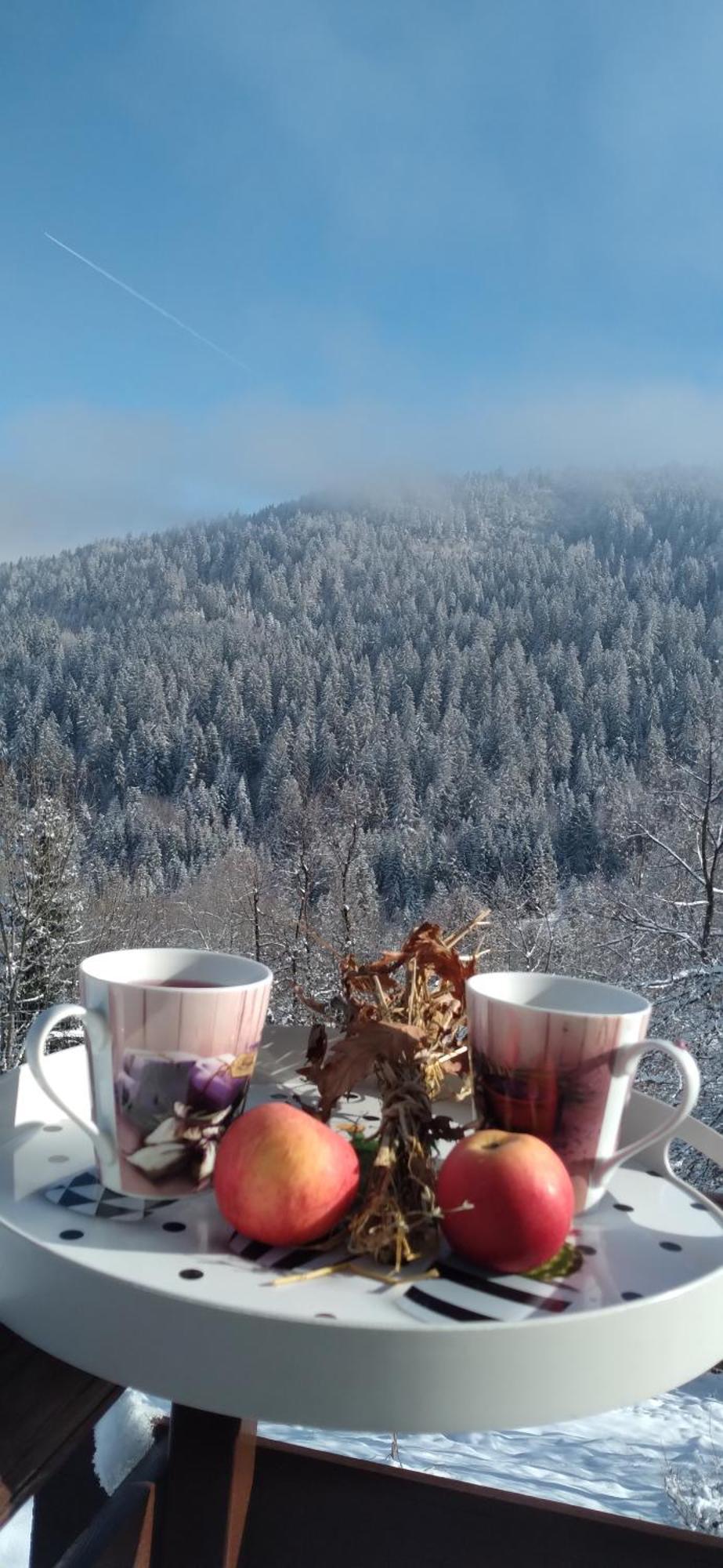 Planinska Kuca ,,Furtula" Jahorina Villa Pale Esterno foto